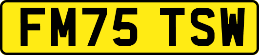 FM75TSW
