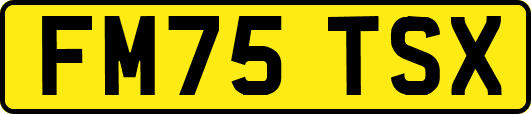 FM75TSX