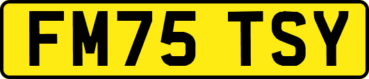 FM75TSY