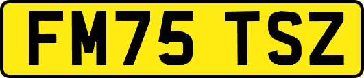 FM75TSZ