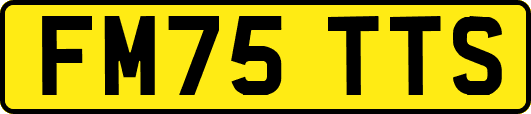FM75TTS