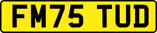 FM75TUD