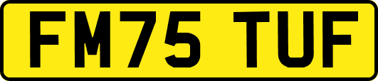 FM75TUF