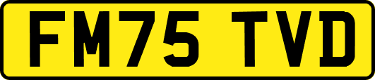 FM75TVD