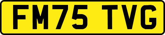 FM75TVG