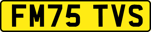 FM75TVS
