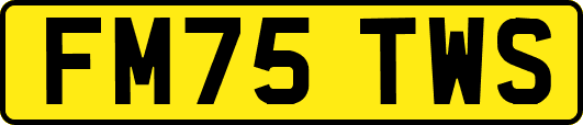 FM75TWS