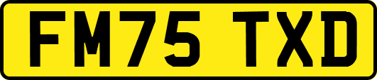 FM75TXD
