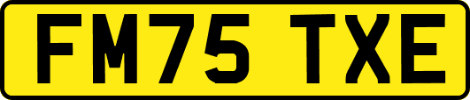 FM75TXE