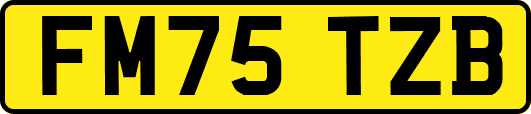 FM75TZB