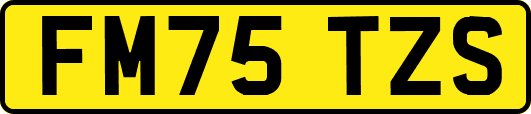 FM75TZS
