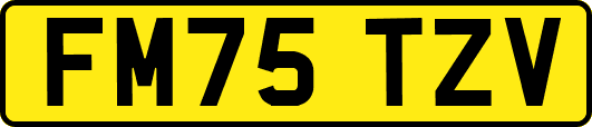 FM75TZV
