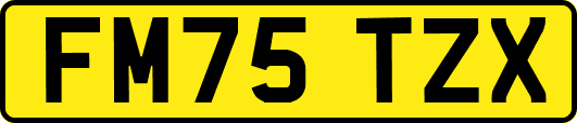 FM75TZX