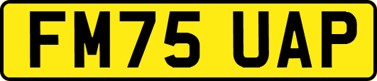 FM75UAP