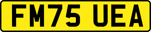 FM75UEA
