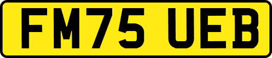 FM75UEB