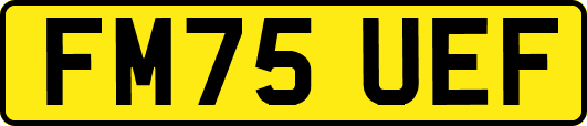 FM75UEF