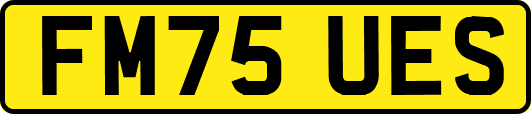 FM75UES