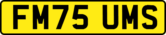 FM75UMS