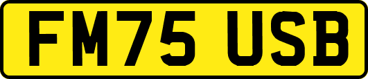 FM75USB