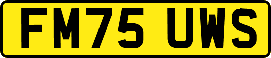 FM75UWS