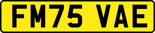 FM75VAE