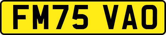 FM75VAO