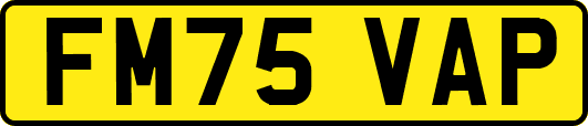 FM75VAP