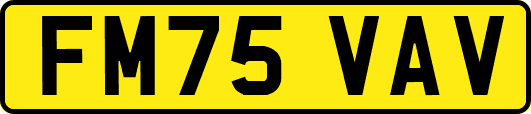 FM75VAV