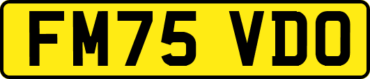 FM75VDO