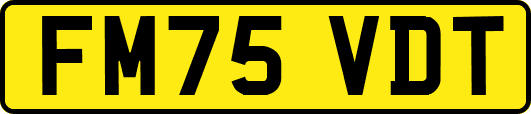 FM75VDT