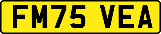FM75VEA