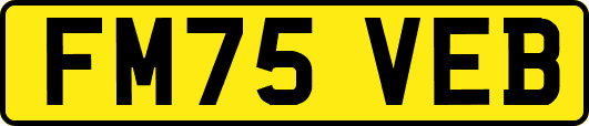 FM75VEB