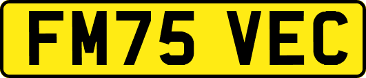 FM75VEC