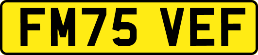 FM75VEF