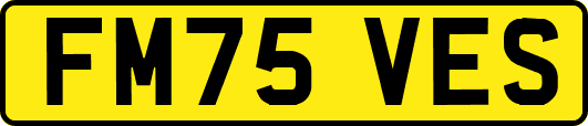 FM75VES