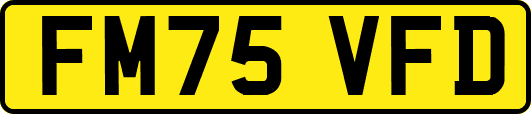 FM75VFD