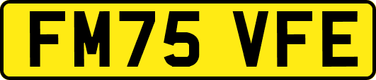 FM75VFE