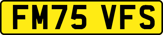 FM75VFS
