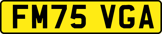 FM75VGA