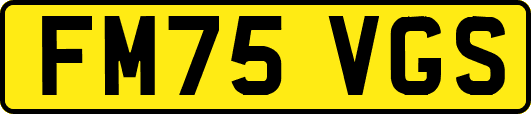 FM75VGS