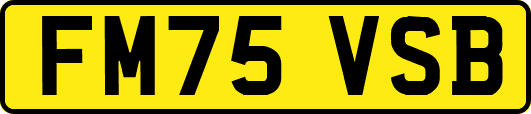 FM75VSB