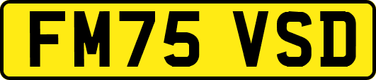 FM75VSD