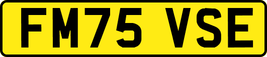 FM75VSE