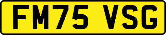 FM75VSG