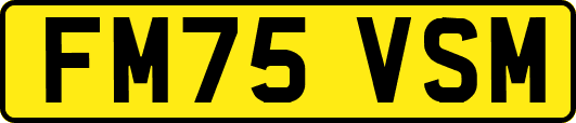FM75VSM
