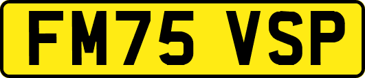 FM75VSP
