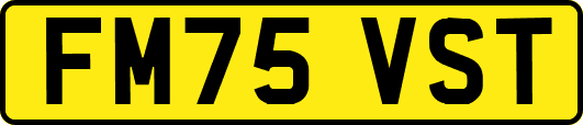 FM75VST