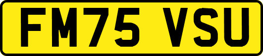 FM75VSU
