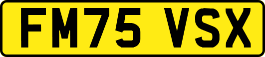 FM75VSX